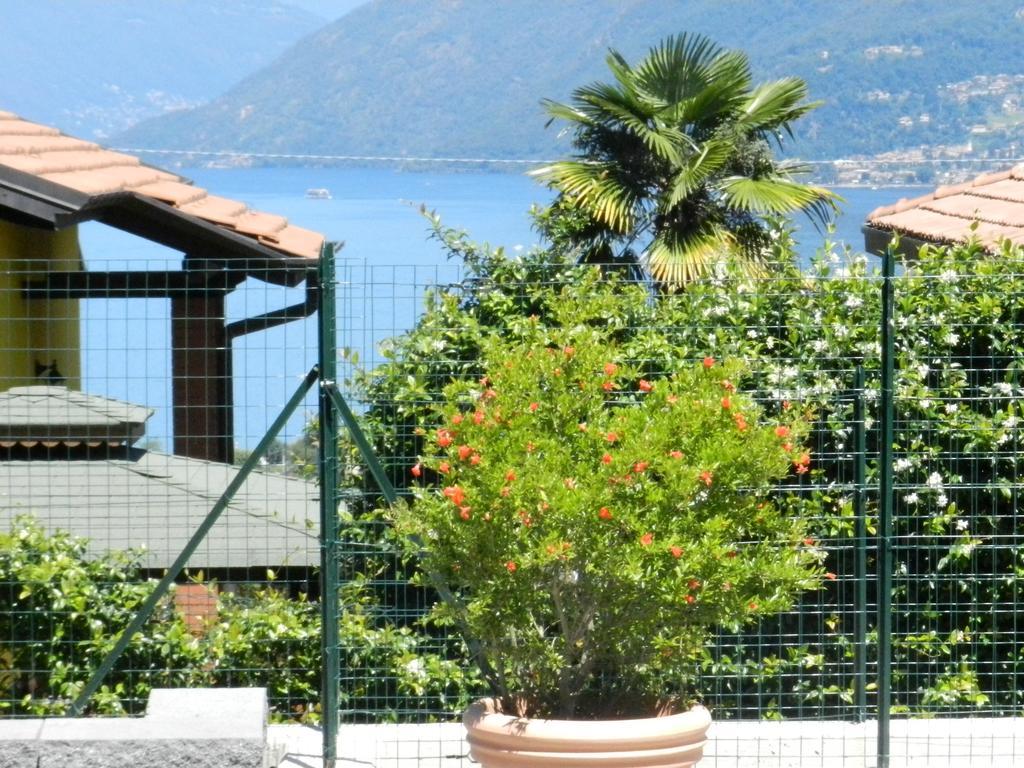 Casa Elena 1 Lägenhet Germignaga Exteriör bild